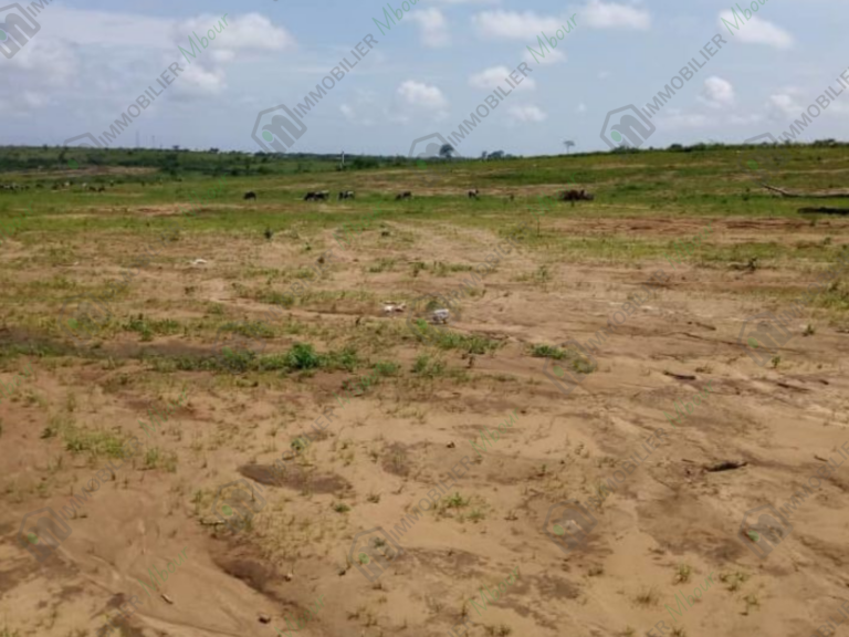 Terrain 300 m² à Saly